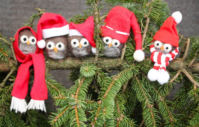 Christmas owls on a fir branch