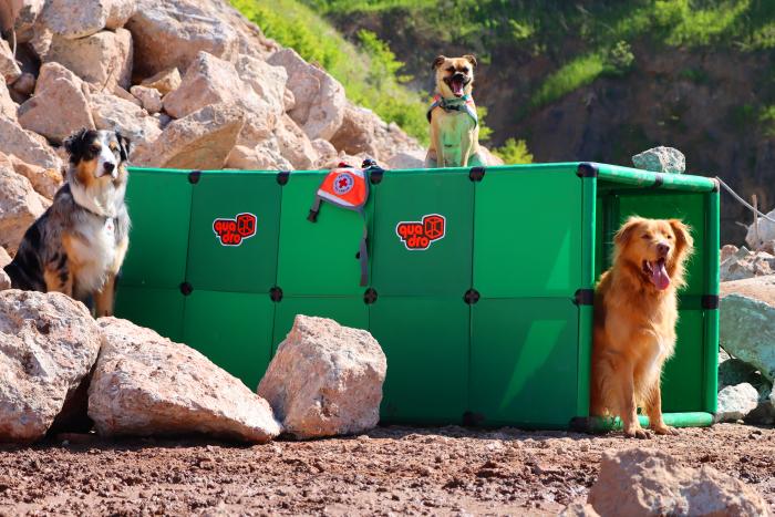 Три собаки-спасателя и туннель QUADRO
