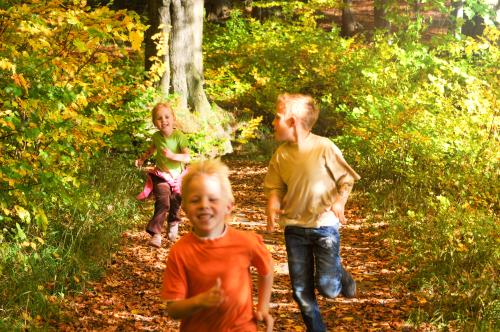 Дети бегают в лесу