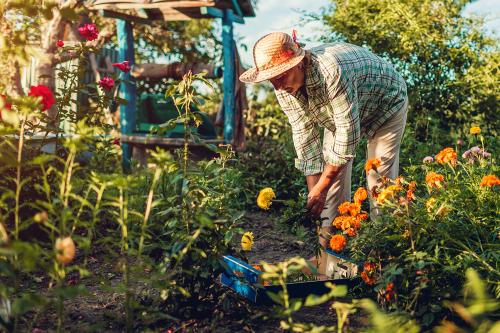 Женщина за садовыми работами