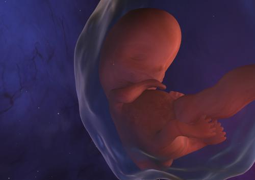 Эмбрион в околоплодных водах