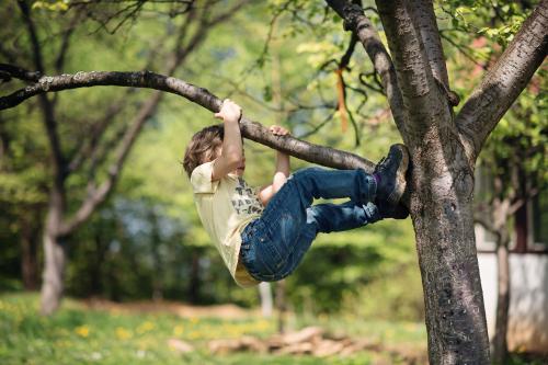 Мальчик карабкается на дерево
