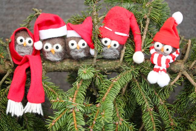 Christmas owls on a fir branch